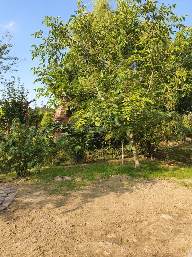 Apartamenty Straconka ,Bielsko-Biała Exteriör bild